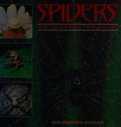 Spiders and Scorpions: An Illustrated Guide