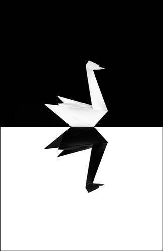 The Black Swan: The Impact of the Highly Improbable