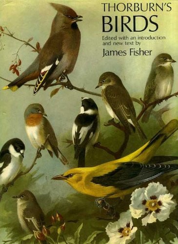 Thorburn's Birds