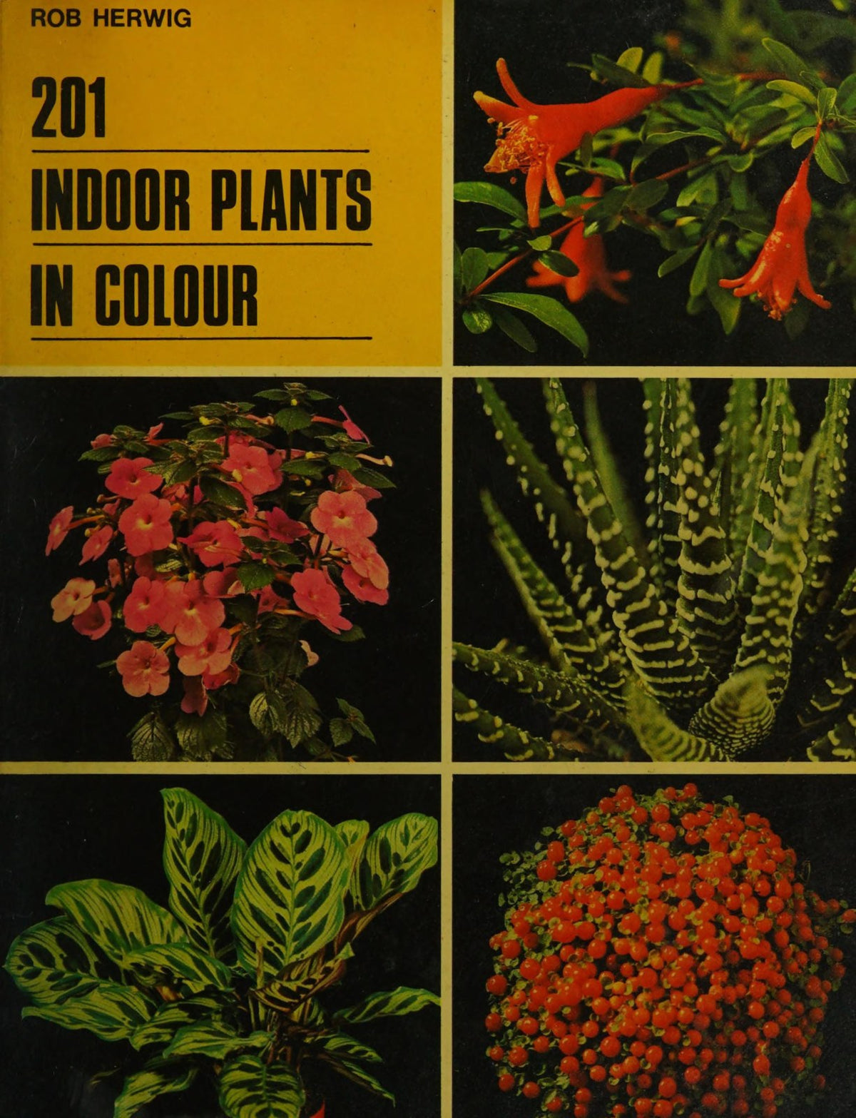201 Indoor Plants in Colour