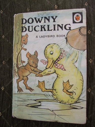 Downy Duckling: 5 (Rhyming stories)
