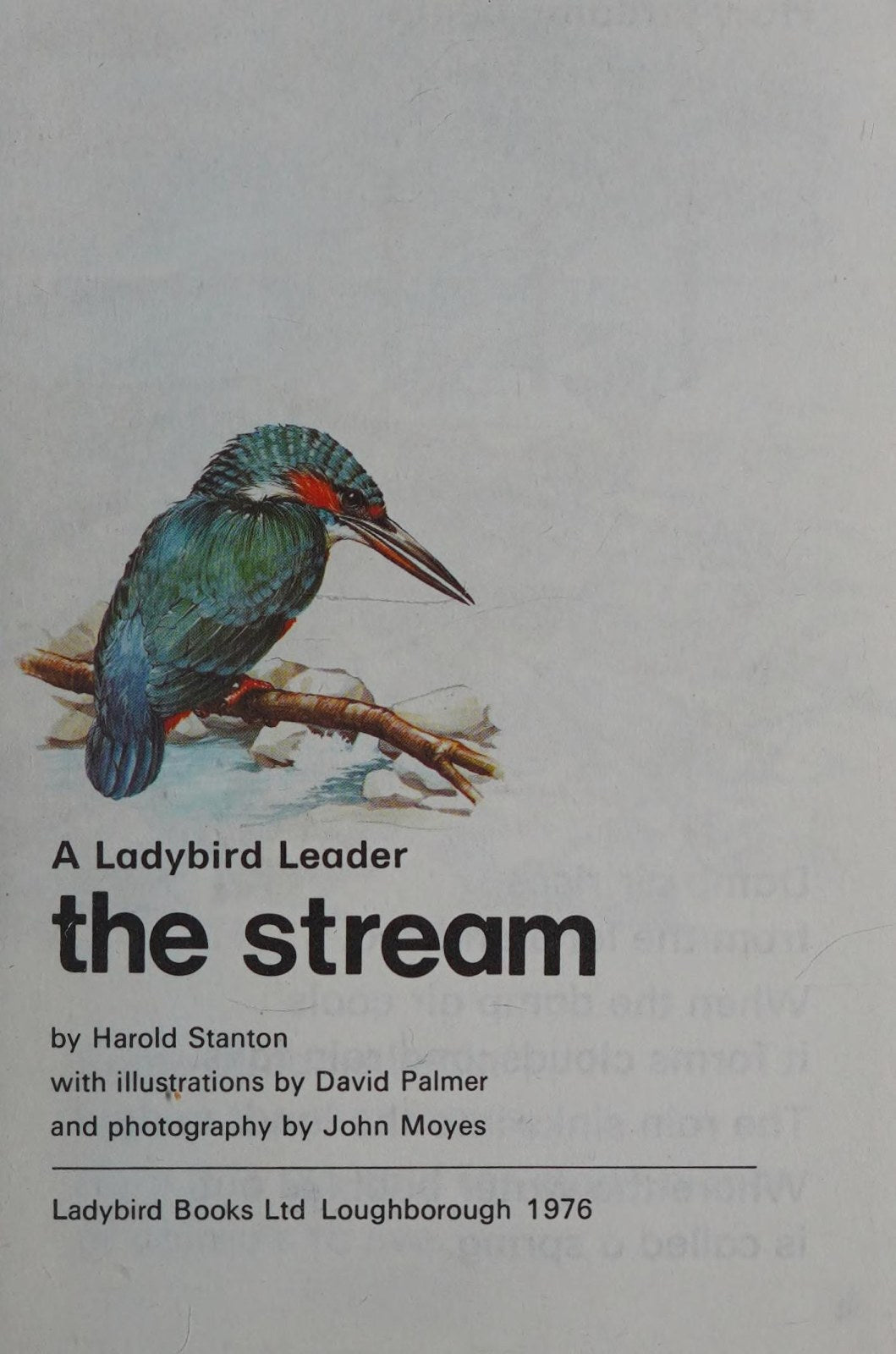 The Stream: 27 (Ladybird leaders)