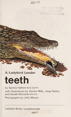 Teeth (Ladybird leaders)