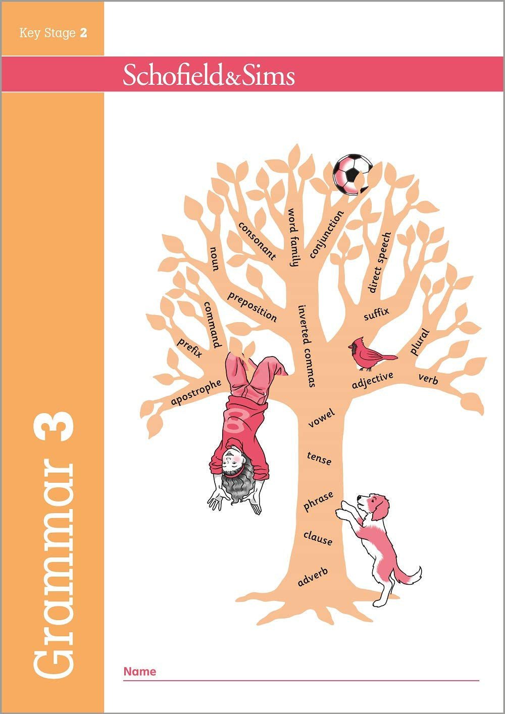 Grammar and Punctuation Book 3: Year 3, Ages 7-8