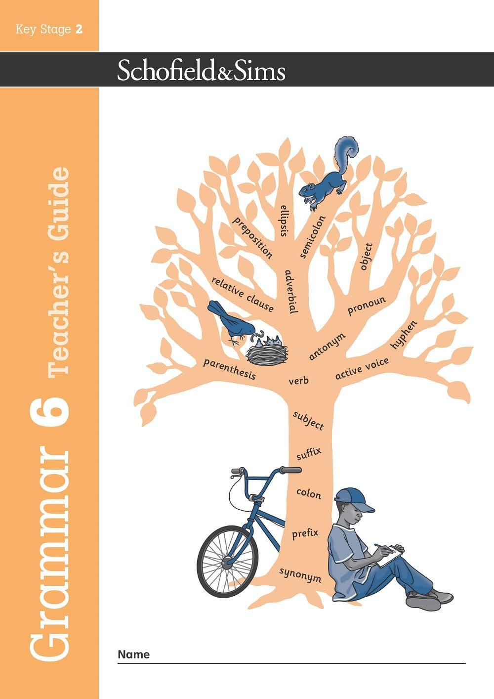 Grammar and Punctuation Study and Practice Teacher's Guide, Year 6, Ages 10-11