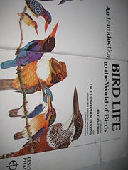 Bird Life: An Introduction to the World of Birds