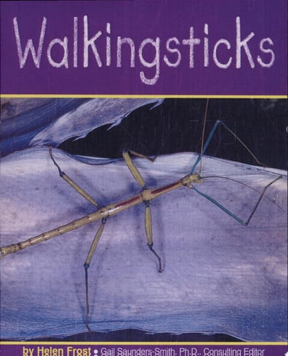 Walkingsticks (Pebble Books)