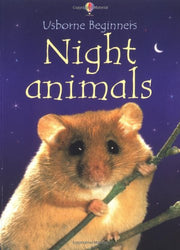 Night Animals (Beginners)