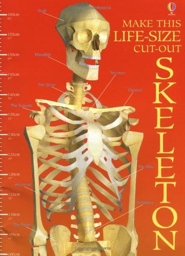 Make This Life-Size Model Cut-out Skeleton (Usborne Cut Outs)