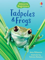 Tadpoles and Frogs (Beginners)