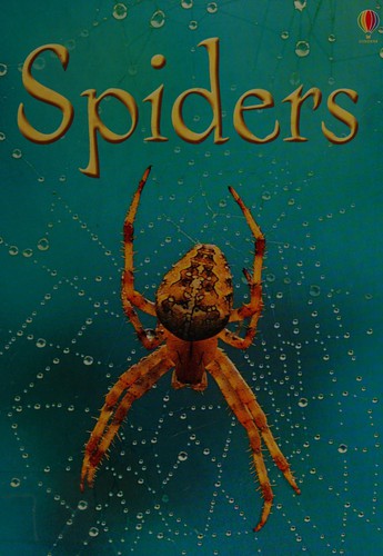 Spiders (Usborne Beginners)