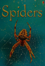 Spiders (Usborne Beginners)