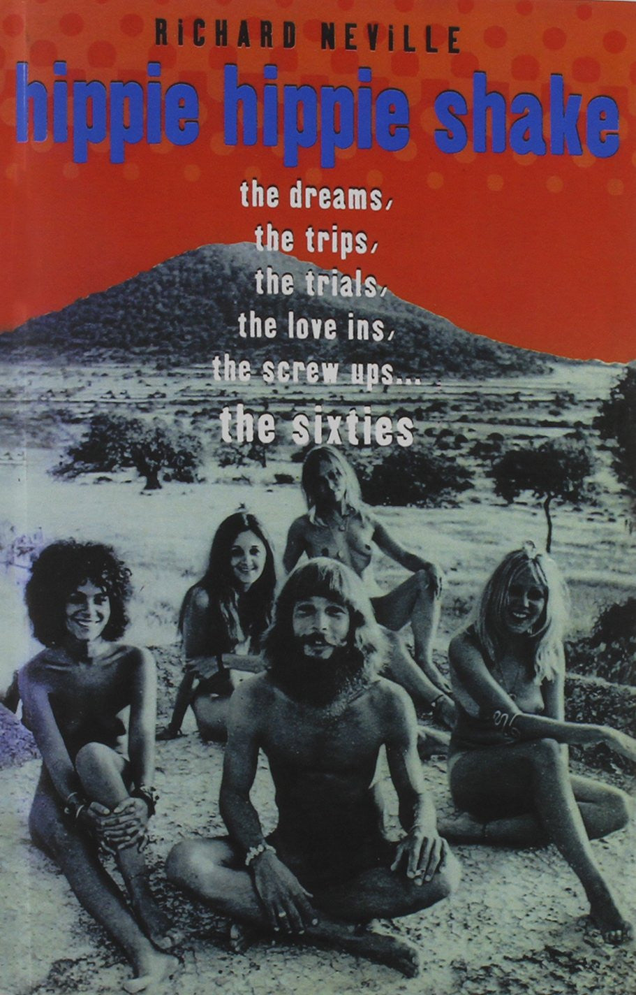 Hippie Hippie Shake: The Dreams, The Trips, The Trials, The Love-Ins, The Screw Ups: The Sixties