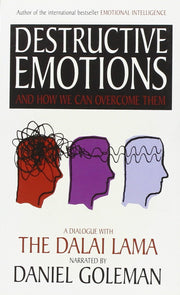 Destructive Emotions