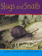 Snails and Slugs: 12 (Minibeasts)