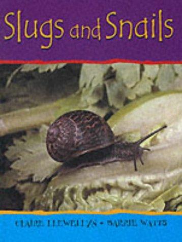 Snails and Slugs: 12 (Minibeasts)