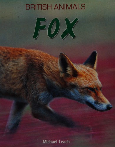 British Animals: Fox: 2
