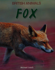 British Animals: Fox: 2