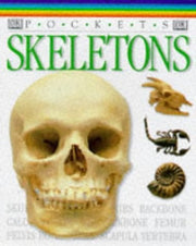 Pockets Skeletons (DK Pocket Guide)
