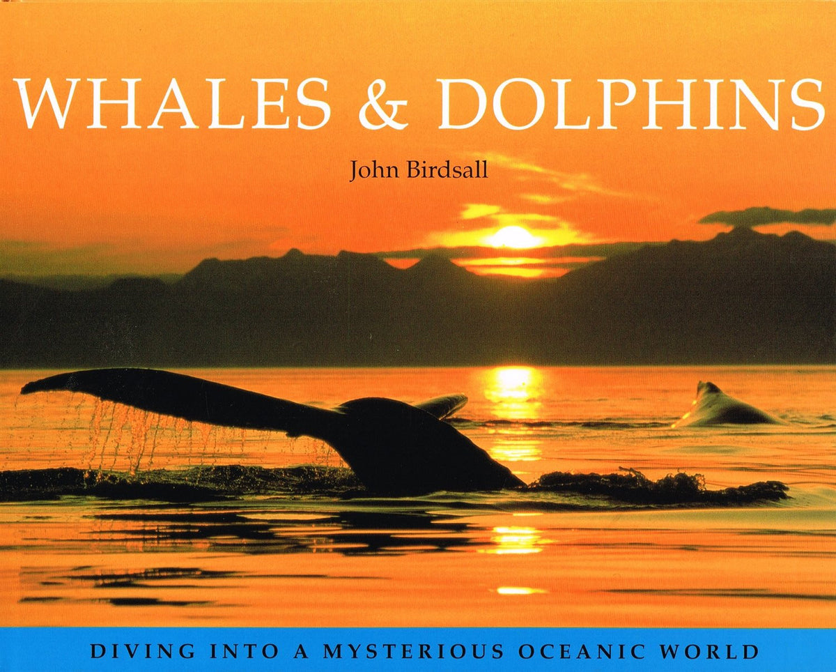 Whales and Dolphins :