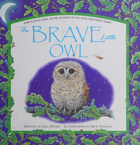 The Brave Little Owl