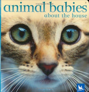 Animal Babies About the House