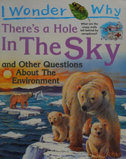 There's a Hole in the Sky (I Wonder Why): And Other Questions About the Environment