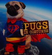 Pugs in Costumes