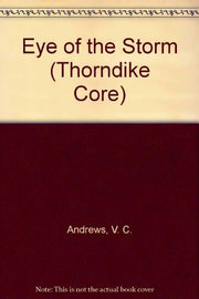 Eye of the Storm (Hudson Series)