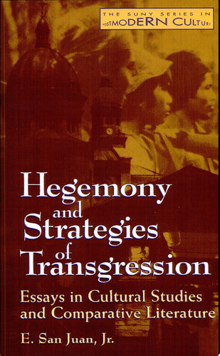 Hegemony and Strategies of Transgression: Essays in Cultural Studies & Comparative Literatur: Essays in Cultural Studies and Comparative Literature (SUNY series in Postmodern Culture)