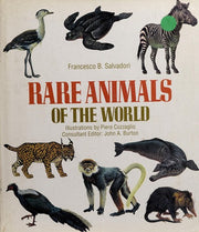 Rare Animals of the World