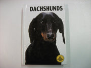 Dachshunds