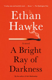 A Bright Ray of Darkness: A Novel (Vintage Contemporaries)