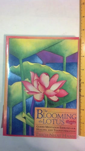 The Blooming of a Lotus: Guided Meditation Exercises for Healing and Transformation