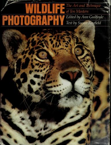 Wild Life Photography