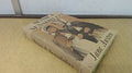 Sense and Sensibility (L.Y.T. S.)