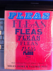 Fleas: Their Intricate Lives and Plague-y History