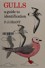 Gulls: A Guide to Identification