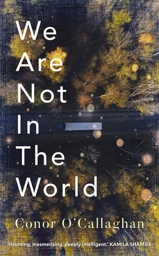 We Are Not in the World: ‘compelling and profoundly moving’ Irish Times