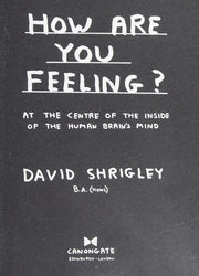 How Are You Feeling?: At the Centre of the Inside of The Human Brain’s Mind