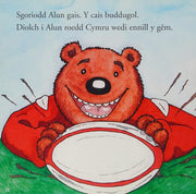 Cyfres Alun yr Arth: Alun yr Arth a'r Gêm Fawr