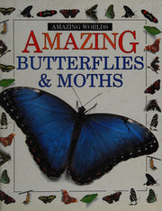 Amazing Worlds 09: Butterflies & Moths