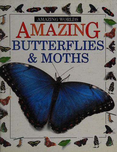 Amazing Worlds 09: Butterflies & Moths