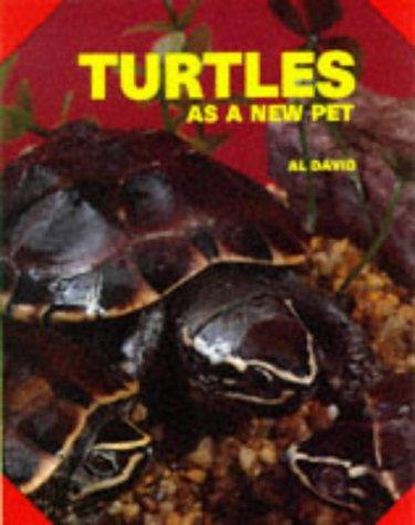 Turtles as a New Pet
