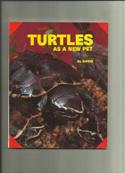 Turtles as a New Pet