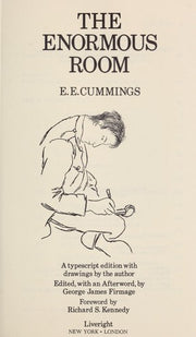 The Enormous Room (The Cummings Typescript Editions)