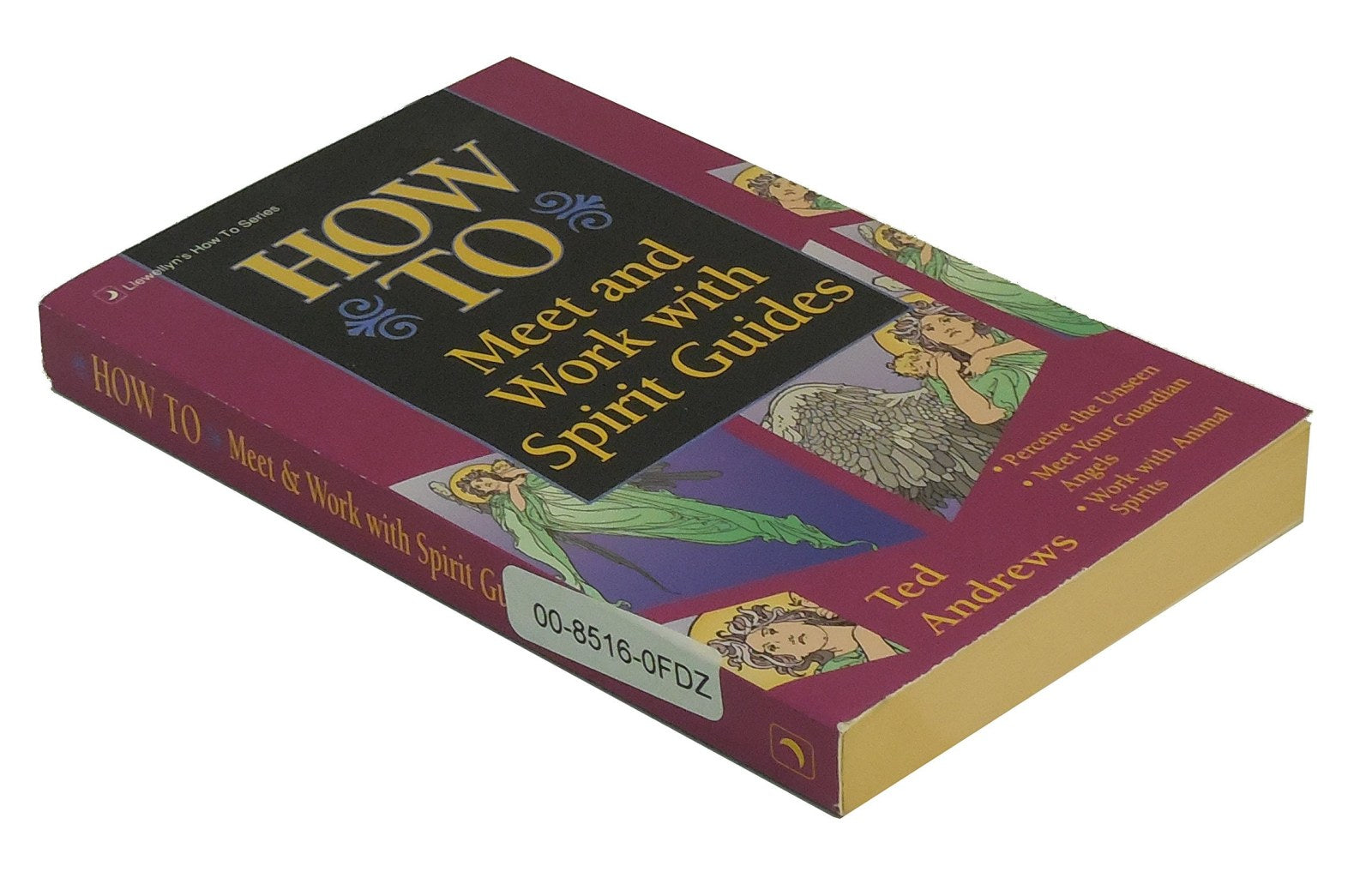 How to Meet and Work with Spirit Guides (Llewellyn's Practical Guide to Personal Power)