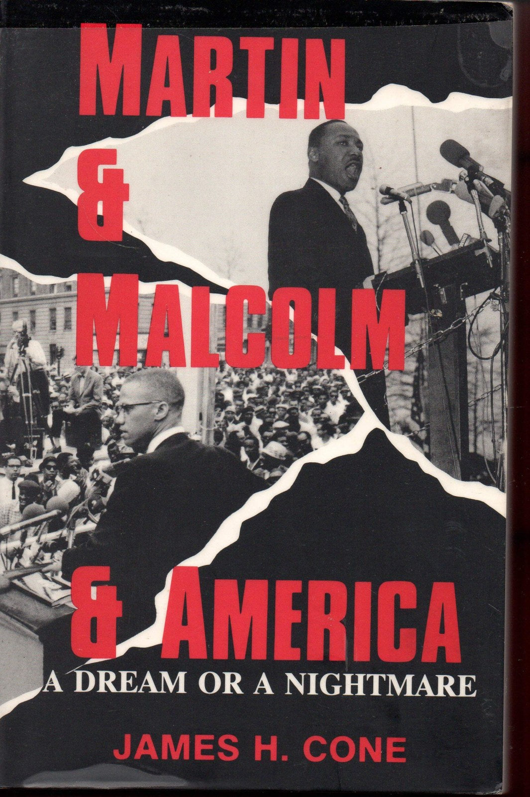 Martin & Malcolm & America: A Dream or a Nightmare