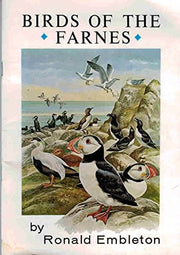Birds of the Farne Islands