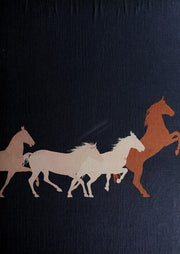 The colourful world of horses